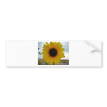sunflower bumper stickers
