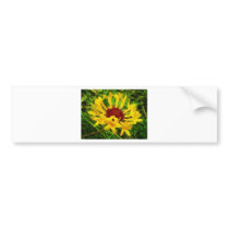 Sunflower bumper stickers by pollop Sunflower bumper stickers