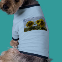 Sunflower Bunch pet clothing by ChileMama Sunflower Bunch pet clothing