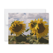 Sunflower Bunch invitations by ChileMama Sunflower Bunch invitations