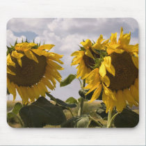 Sunflower Bunch mousepads