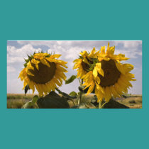 Sunflower Bunch photo cards