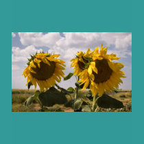 Sunflower Bunch t-shirts