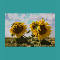 Sunflower Bunch t-shirts