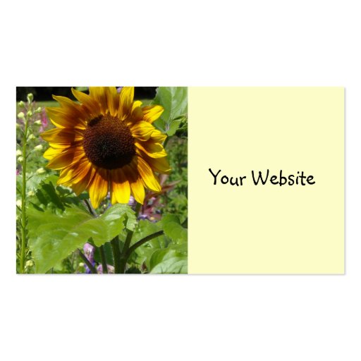 Sunflower Business Card (back side)