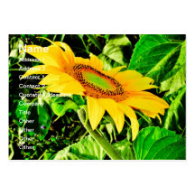 Sunflower Business Card Templates