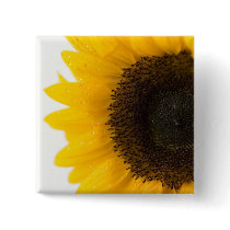 sunflower pin