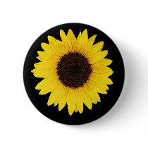 SUNFLOWER buttons