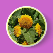 SUNFLOWER BUTTON