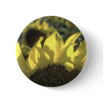 Sunflower buttons
