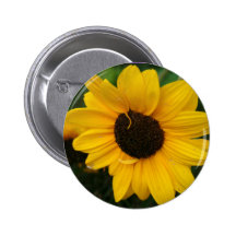 Sunflower Button