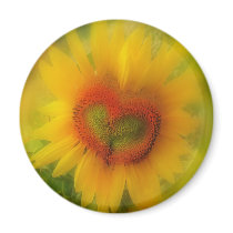 Sunflower , button magnets