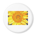 Sunflower by Paula Atwell magnets by lakeerieartists Sunflower by Paula Atwell magnets
