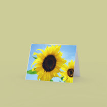 Sunflower cards