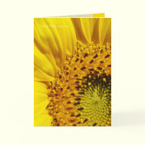 Sunflower cards