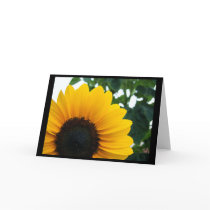 Sunflower cards
