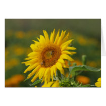 Sunflower Card