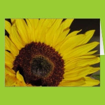 Sunflower Card cards