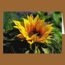 Sunflower CARD by RanchLady Sunflower CARD