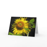 Sunflower cards