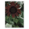 Sunflower cards
