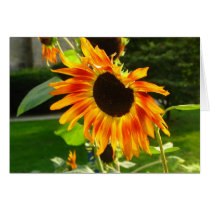 Sunflower cards by litabug Sunflower cards