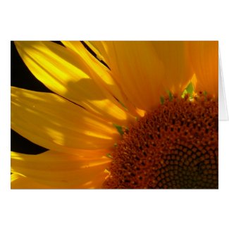 Sunflower card