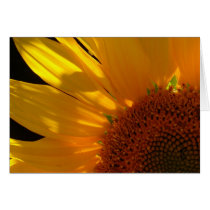 Sunflower cards