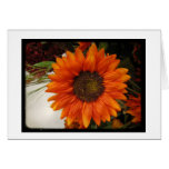 note, card, sunflower, orange, autumn
