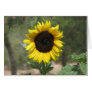 Sunflower Card Sunflower Card
