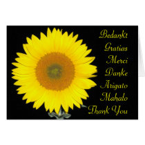 Sunflower Card cards