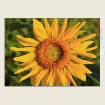 Sunflower cards