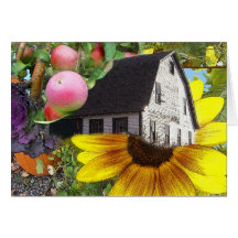 Sunflower Cards