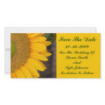Sunflower Center Floral Wedding Save The Date Custom Photo Card