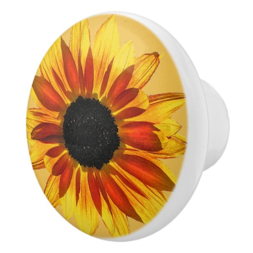 Sunflower Ceramic Knob Zazzle