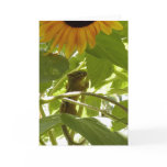 Sunflower & Chipmunk Greeting Card