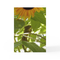 Sunflower & Chipmunk Greeting Card