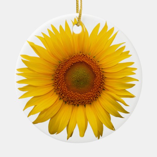 Sunflower Christmas Ornaments Zazzle