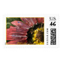 Sunflower Close-Up Custom Postage Stamps by lillyarts Sunflower Close-Up Custom Postage Stamps