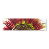 Sunflower Closeup Bumpersticker Bumper Sticker