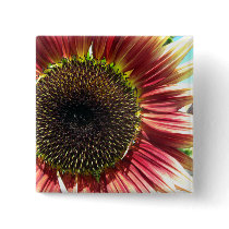 Sunflower Closeup Buttons