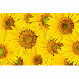 Yellow Sunflower Photo Statuettes, Cutouts & Sculptures | Zazzle