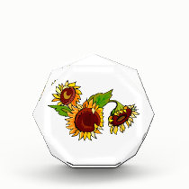 Sunflower Cluster awards