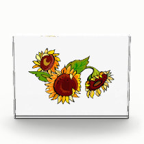 Sunflower Cluster awards