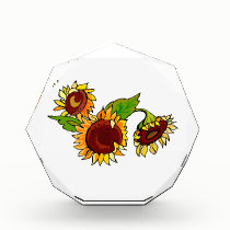 Sunflower Cluster awards