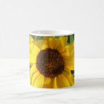 Sunflower Coffee Mugs