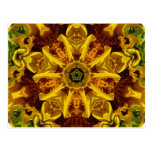 Sunflower collage - Postcard