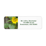 Sunflower labels
