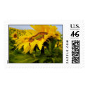 Sunflower dancing in the Sun postage
