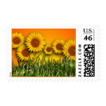 Sunflower Dawn Postage Stamp